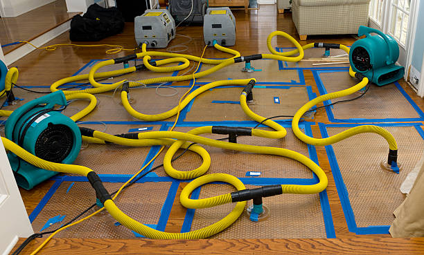 Professional Water Extraction technician working in Boerne, TX